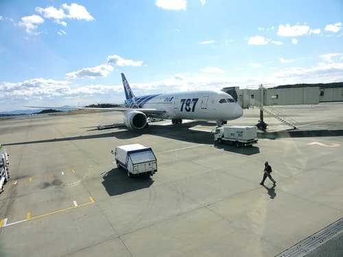 Boeing 787 - Does it have many problems?